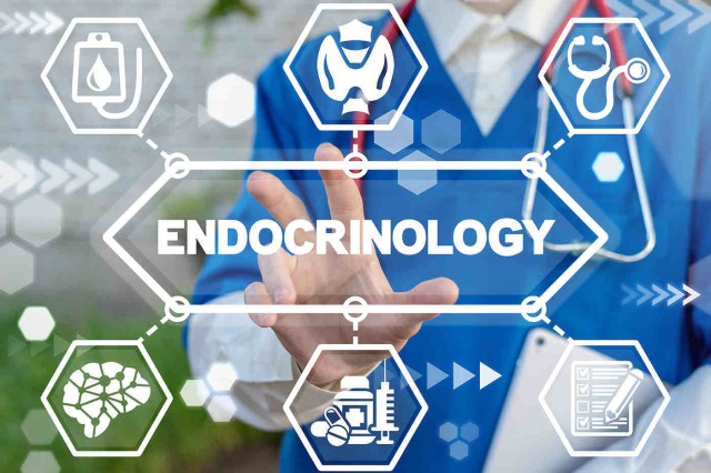 Endocrinologie: ce este și când trebuie să mergi la un control