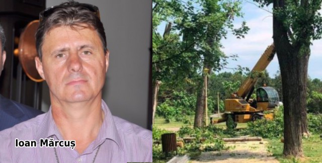 MĂRCUȘ vrea BANI mai mulți de la Primăria Constanța ca să întrețină SPAȚIILE VERZI