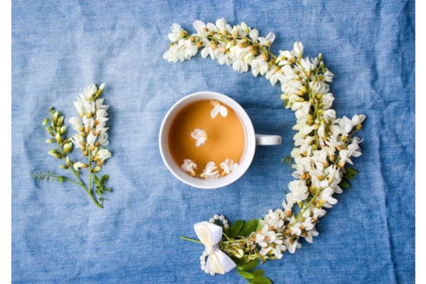 Rețete aromate cu flori de salcâm