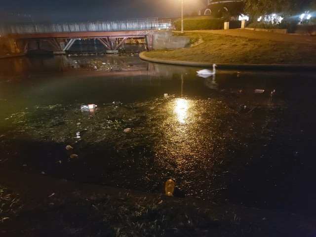 CANALUL care traversează Satul de Vacanță a DEVENIT un FOCAR de INFECȚIE