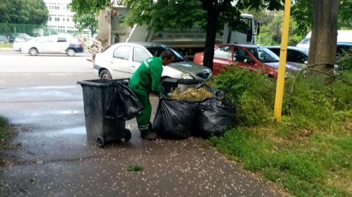 Numărul de WhatsApp - 0731.550.011, la dispoziția constănțenilor pentru a anunța zonele insalubre