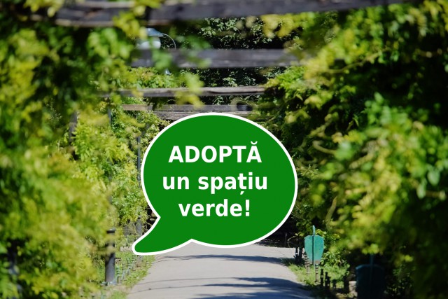 CONSTĂNȚENII ar putea să ADOPTE un SPAȚIU VERDE și să îl ÎNGRIJEASCĂ