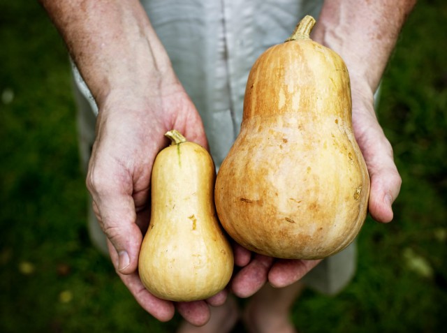 Alimente care conțin mai mult potasiu decât bananele