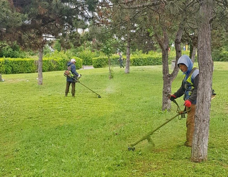 Primăria Constanța, acțiuni de igienizare a spațiilor verzi Primăria Constanța, acțiuni de igienizare a spațiilor verzi