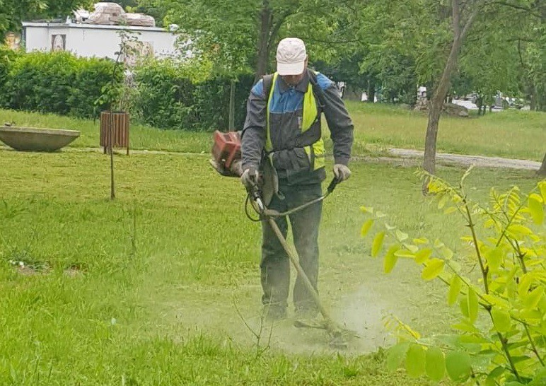 Primăria Constanța, acțiuni de igienizare a spațiilor verzi Primăria Constanța, acțiuni de igienizare a spațiilor verzi