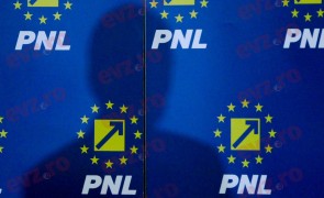 Senator PNL din tabăra lui Dan Vîlceanu: Guvernarea a eșuat