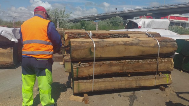 Video! ALTE containere pline cu BUȘTENI au fost oprite în PORTUL CONSTANȚA