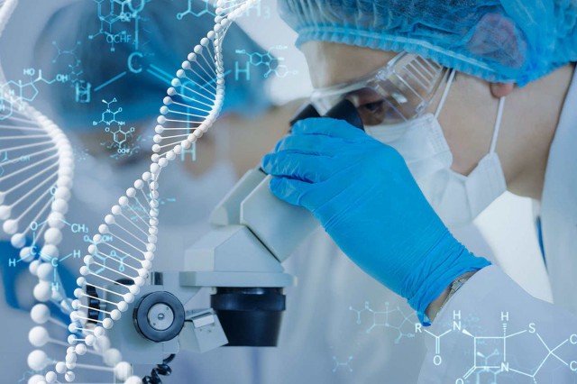 Oasele și vasele de sânge ar putea fi regenerate cu ajutorul unui biomaterial