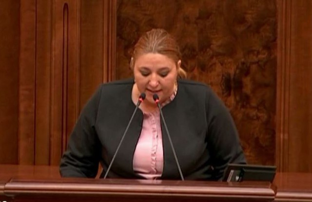 Ludovic Orban i-a tăiat microfonul Dianei Șoșoacă când senatoarea îi recita din Eminescu