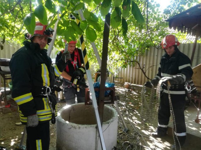 MÂNZ căzut într-o fântână, SALVAT de POMPIERI