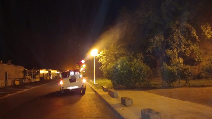Acţiuni de dezinsecţie în municipiul Constanţa