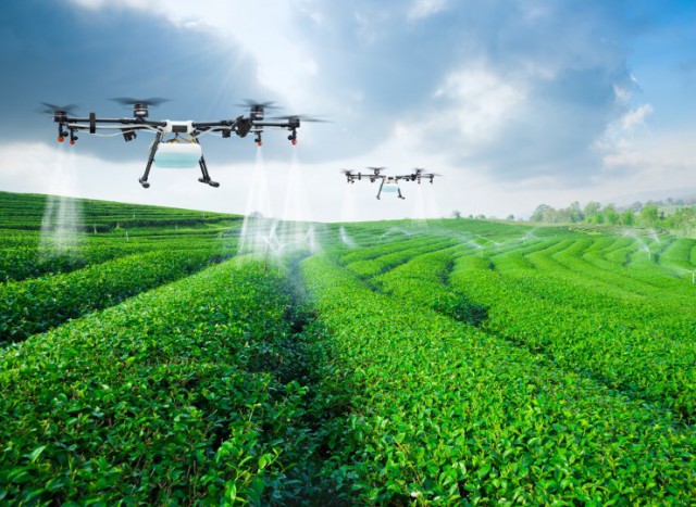 Digitalizarea agriculturii poate aduce beneficii considerabile fermierilor şi consumatorilor