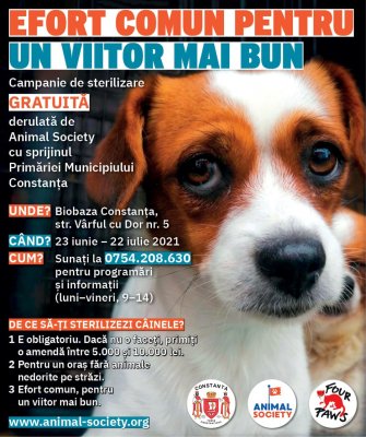 Campanie de sterilizare GRATUITĂ pentru câini şi pisici, demarată la Constanța
