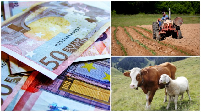 Fermierii pot depune cererile de plată pentru subvenţii, fără penalizări, până la 31 mai 2023