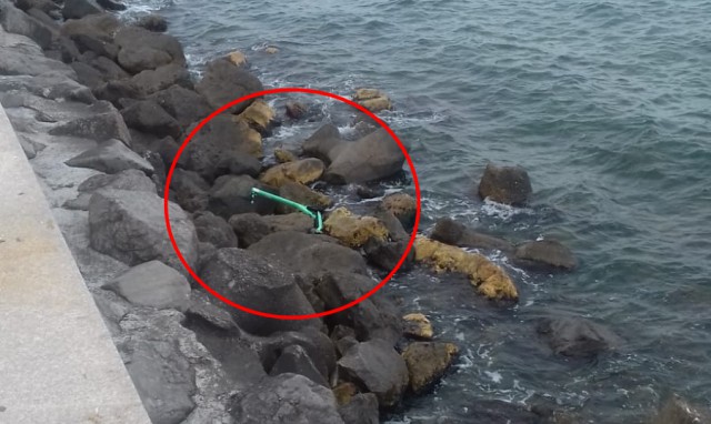 Trotinete electrice DEZMEMBRATE sau ARUNCATE în MARE, la Constanța! Video