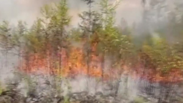 VIDEO. Temperaturile record provoacă incendii uriașe în Siberia