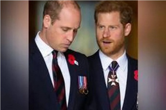 Este oficial: Harry şi William vor dezveli statuia prințesei Diana