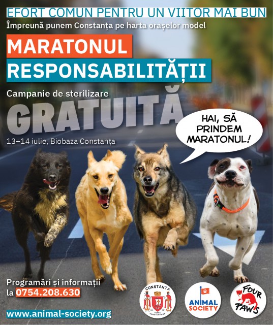 Sterilizare gratuită a animalelor de rasă comună, la Constanța