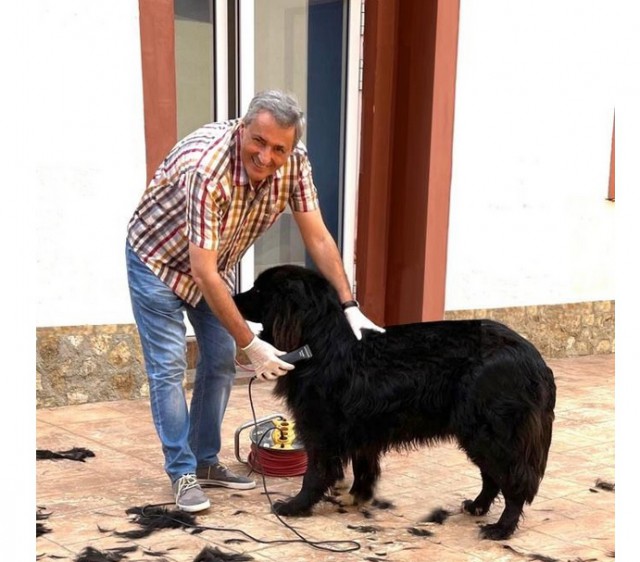 Marcel Vela