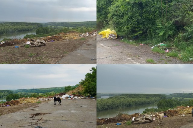 GUNOAIELE și CÂINII MAIDANEZI au pus STĂPÂNIRE pe o localitate din județ