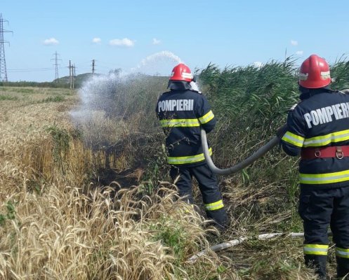 Incendiu în apropiere de Tulcea, pe o suprafață de aproximativ 2.000 de metri pătrați