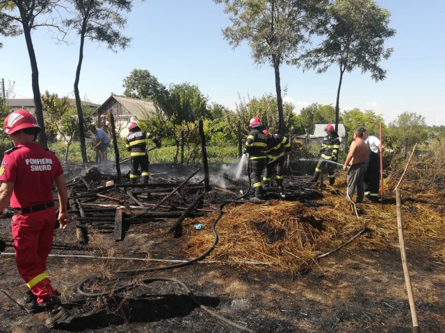 4 TONE de FURAJE s-au făcut SCRUM în localitatea Iazurile