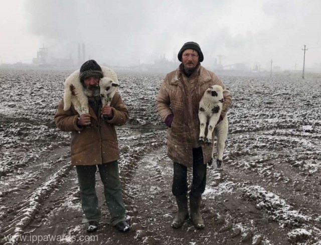 Un fotograf de origine română, desemnat marele câştigător al iPhone Photography Awards