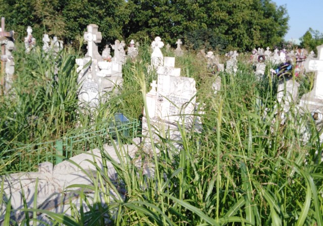 Scandal uriaș într-un cimitir! Oase de decedați, scoase din morminte, pentru că rudele nu au plătit taxa