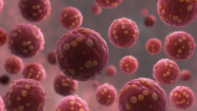 Bărbat diagnosticat cu hantavirus, o boală infecțioasă rară, la Spitalul „Dr.C.I.Parhon“ din Iaşi