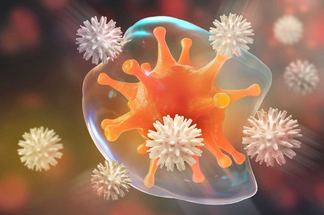 Studiu: Sistemul imunitar ar putea fi optimizat pentru a combate cancerul