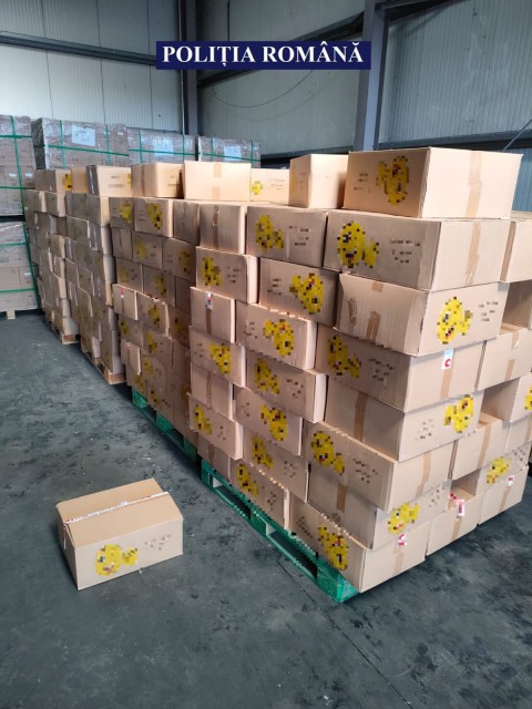 CONTAINER sosit din CHINA, CONTROLAT de polițiști în portul Constanța