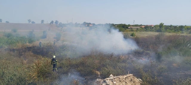 Video! Incendiile de VEGETAȚIE USCATĂ puse INTENȚIONAT pot provoca DAUNE URIAȘE