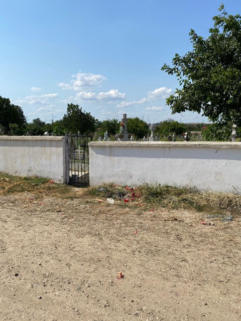 CIMITIRUL din COGEALAC, PLIN de GUNOAIE și BĂLĂRII
