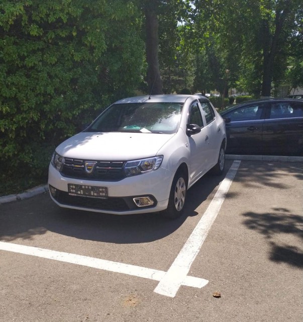 GĂSELNIȚA unui TURIST, pentru a NU plăti PARCAREA în MAMAIA!
