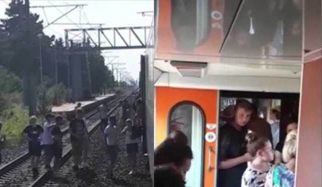 Trenul cu 30 de copii, oprit în câmp 9 ore azi-noapte și rămas fără frâne în pădure, a fost deblocat