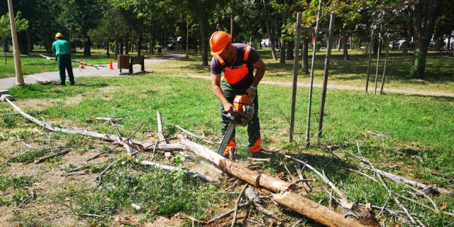 Primăria Constanța spune că spațiile verzi beneficiază de îngrijire corectă!