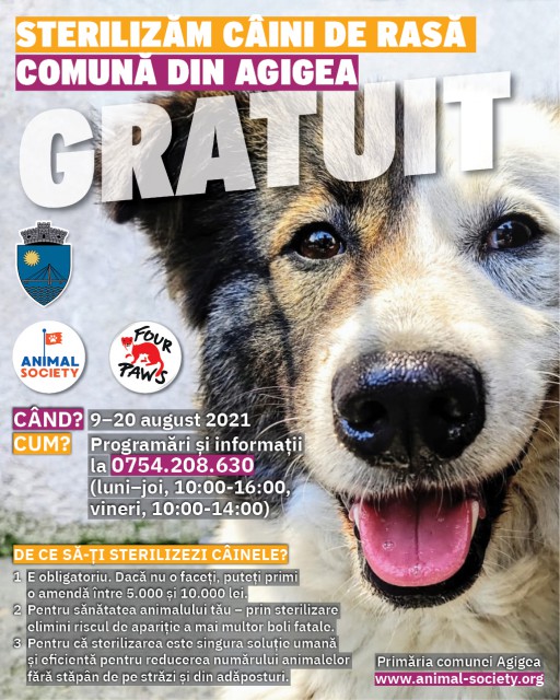 Nouă CAMPANIE de sterilizare GRATUITĂ a animalelor de rasă comună, la Agigea