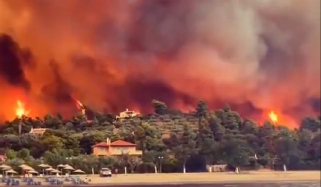 Grec drogat, arestat pentru că a pus foc intenționat într-o pădure