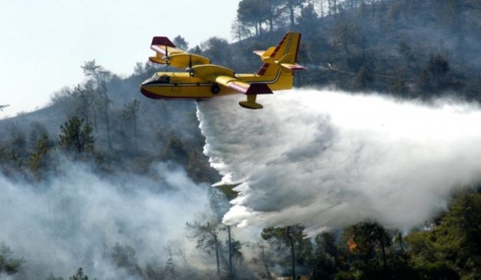 Bulgaria: Valul de căldură extremă a provocat incendii importante