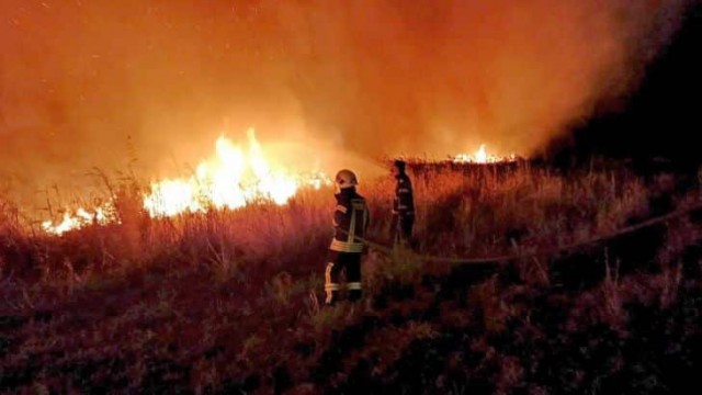 Incendiu de vegetație uscată, pe A2