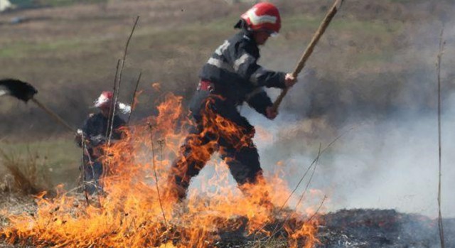 Incendiu de vegetație uscată, între Topraisar și Mereni