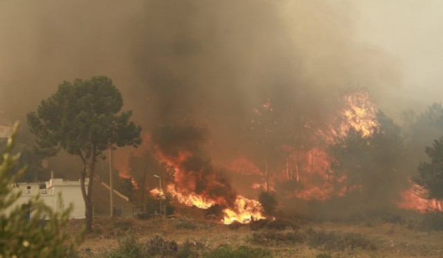 Sudul Italiei cere declararea stării de urgență, din cauza incendiilor