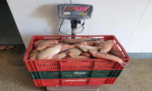 BRACONAJ piscicol în zona Rezervației Biosferei Delta Dunării