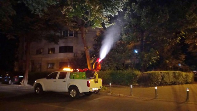 Primăria Constanţa continuă DEZINSECŢIA