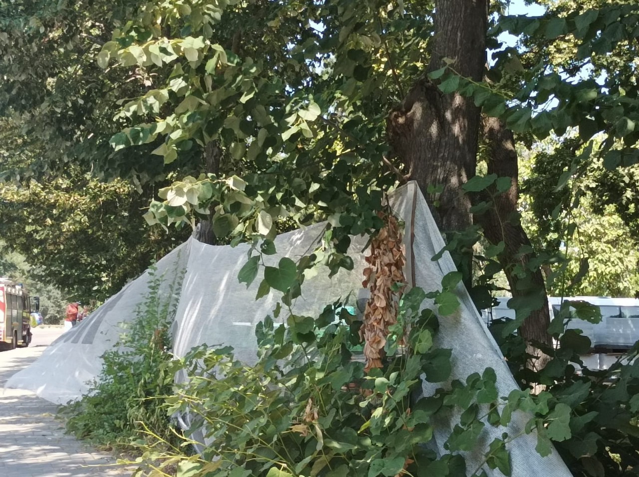 REPORTAJ REPLICA: STAȚIUNILE din SUDUL litoralului ARATĂ ca acum 40 de ANI! Video REPORTAJ REPLICA: STAȚIUNILE din SUDUL litoralului ARATĂ ca acum 40 de ANI! Video