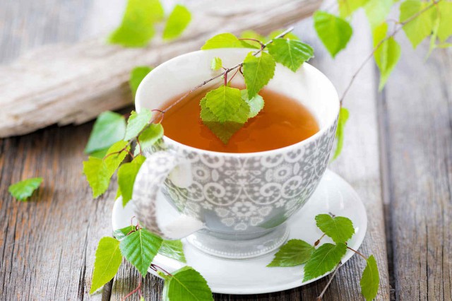 Ceai din frunze de mesteacăn: beneficii și proprietăți