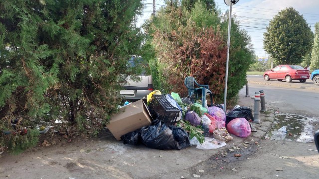 Polițiștii locali au aplicat 159 de SANCȚIUNI pentru aruncarea gunoiului pe domeniul public