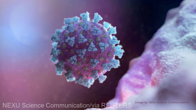 Semnal de alarmă: O nouă MUTAȚIE a coronavirusului a fost DESCOPERITĂ în Africa de Sud