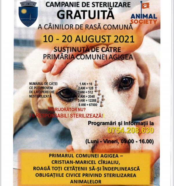 Campania 'Sterilizează și Salvează' continuă, în Agigea