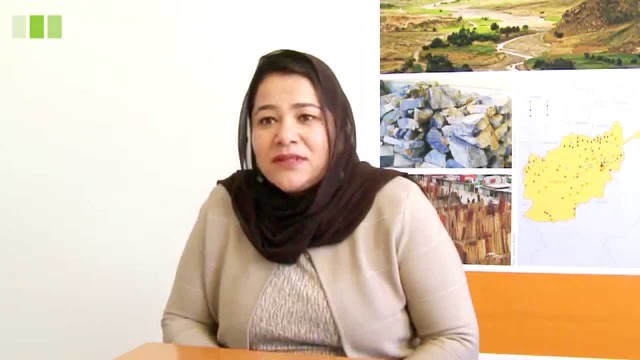 Afganistan: O membră a fostului guvern denunţă calendarul 